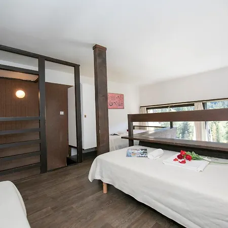 Grand Roc - Bruyeres 309 - Happy Apartment Chamonix