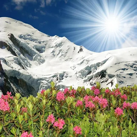 Apartment Grand Roc - Bruyeres 309 - Happy Chamonix